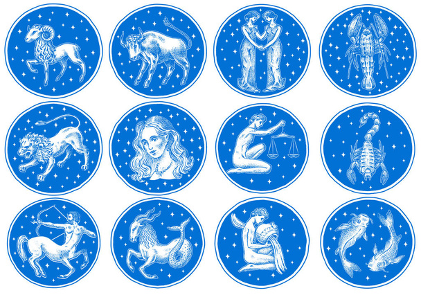 Zodiac icons. Astrology horoscope with signs. Calendar template. Collection outline animals. Vintage style. Libra Scorpio Sagittarius Capricorn Aquarius Pisces. Aries Taurus Gemini Cancer Leo Virgo. - Vector, Image