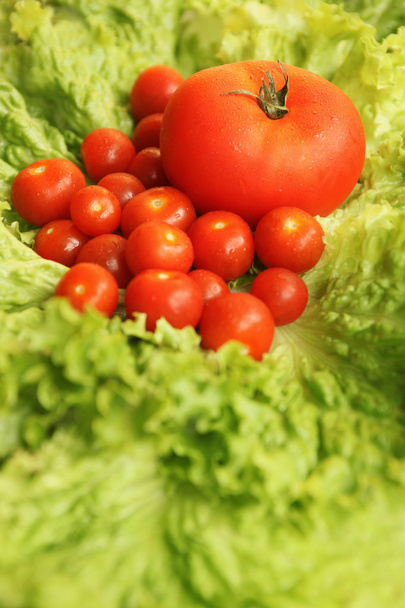 tomatoes and lettuce - Zdjęcie, obraz