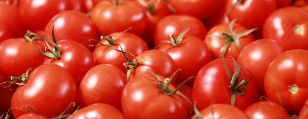 tomatoes - Foto, Bild