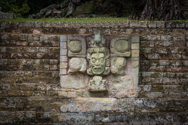 Dettaglio scolpito presso le rovine Maya - Sito archeologico di Copan, Hondur
 - Foto, immagini