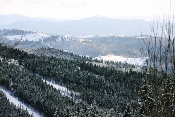 Hermoso paisaje de montaña con bosque en el día soleado en invierno
 - Foto, imagen
