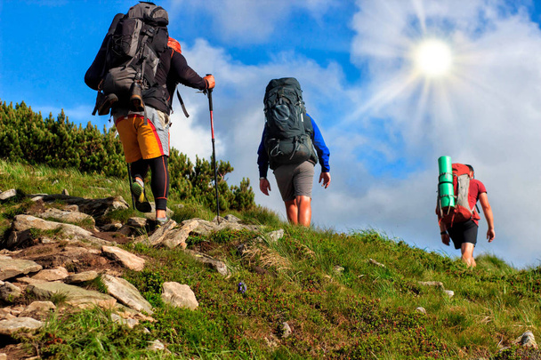 kestävyyden käsite, ryhmä retkeilijöitä kiipeämässä kallioilla vuori
 - Valokuva, kuva