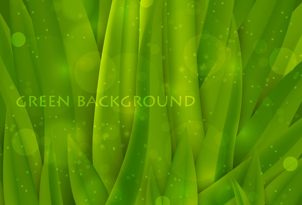 background of green grass, summer background - Vektor, Bild