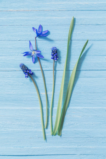 spring flowers on blue wooden background - Foto, Imagem