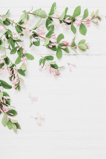 branches of  bush with pink flowers on wooden background - Photo, Image