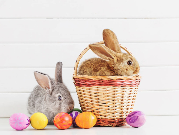 Easter bunny with eggs on white background - Fotografie, Obrázek