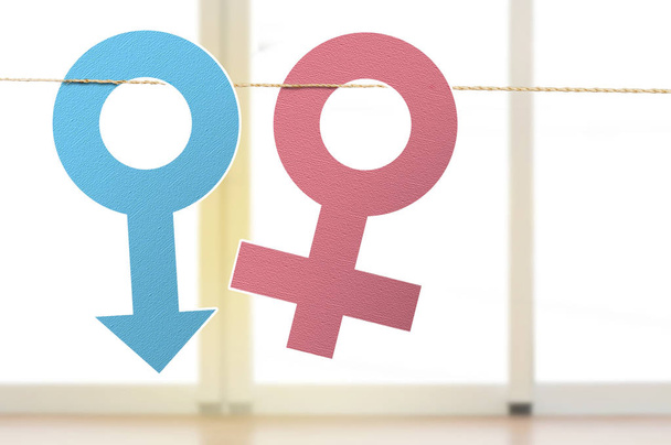 Male and female gender symbols hanging on the rope. Equality gender concept - Foto, Bild