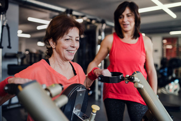 Two cheerful seniors women in gym doing strength workout exercise. - 写真・画像