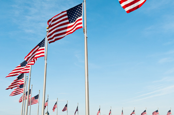 Ring Of US Flags - Valokuva, kuva