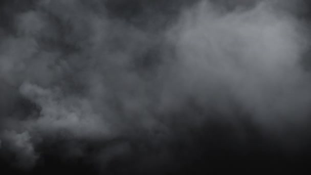 Атмосферний дим. Лабіринт. Абстрактна димова хмара. Дим повільно рухається на чорному тлі. Білий дим повільно плаває через простір на чорному тлі. Ефект туману. Ефект туману
. - Кадри, відео