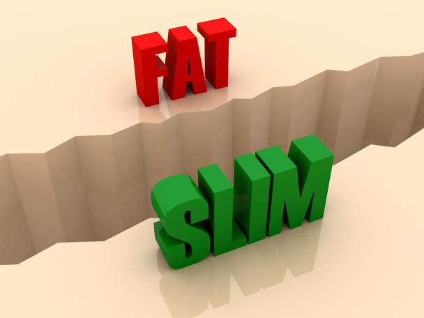 Kaksi sanaa FAT ja SLIM jaettu sivuilla, erottaminen halkeama. Konsepti 3D-kuva
. - Valokuva, kuva