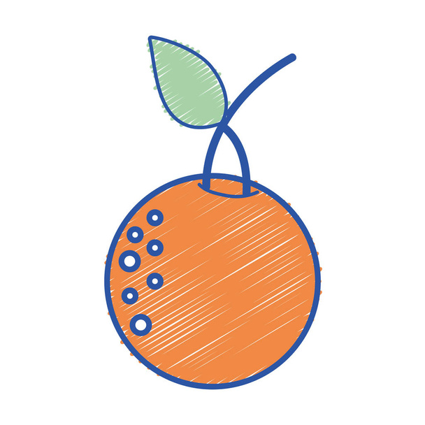 köstliche Orangenfrüchte mit Protein-Ernährungsvektor-Illustration - Vektor, Bild