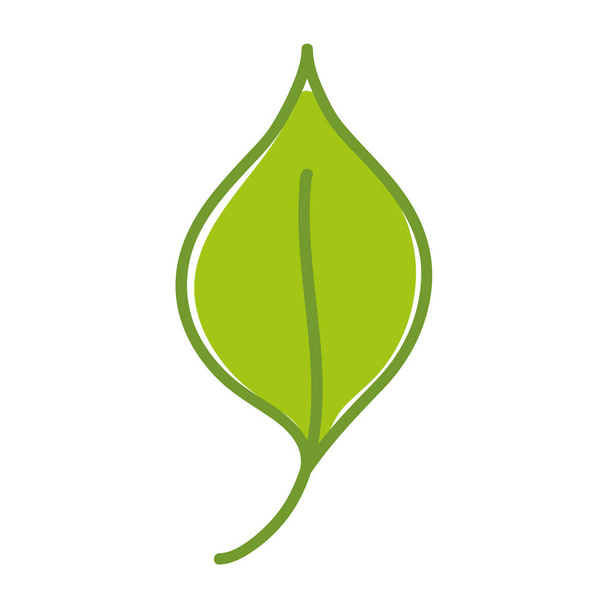 schöne organische Blattpflanze, Vektor Illustration Design - Vektor, Bild