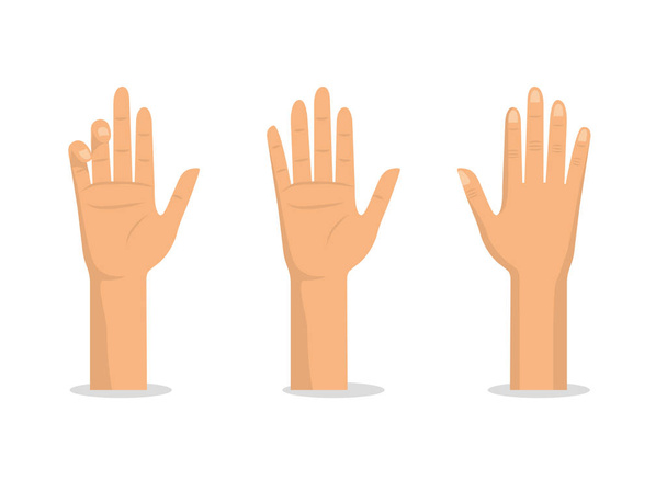 Руки вверх с помощью векторной иллюстрации ладоней и пальцев
 - Вектор,изображение