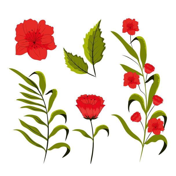 Gyönyörű virágok gyűjteménye vektor illusztráció grafikus dsign készlet - Vektor, kép