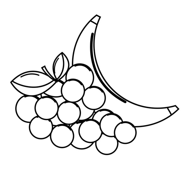 σιλουέτα σταφυλιών και babana εικονίδιο φρούτων, διανυσματικά εικονογράφηση εικόνα σχεδίασης - Διάνυσμα, εικόνα
