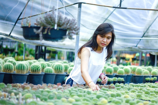 woman choosing a various cactuses in the gardening department - Foto, afbeelding