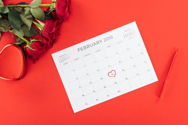 top view of roses and calendar with 14th february date marked with heart isolated on red, st valentines day concept - 写真・画像