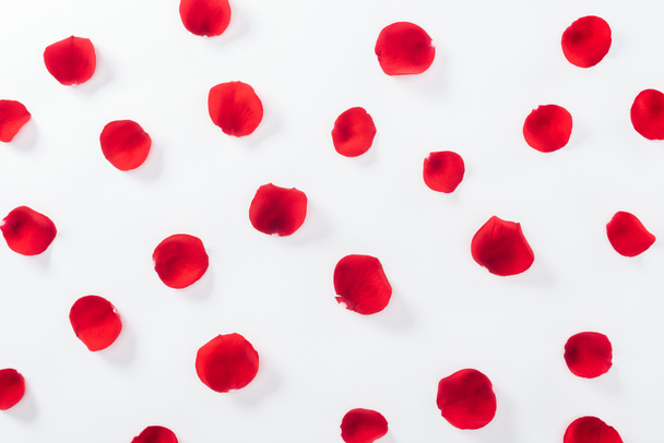 top view of red rose petals isolated on white - Φωτογραφία, εικόνα
