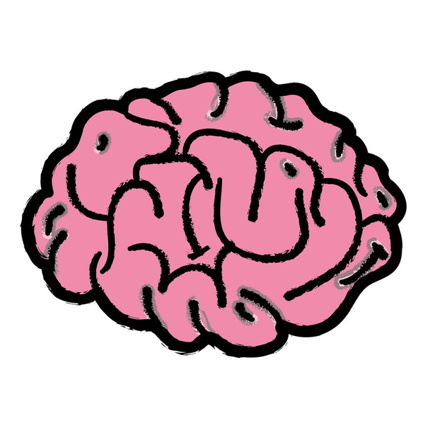 анатомія людського мозку до творчого та інтелекту Векторні ілюстрації
 - Вектор, зображення