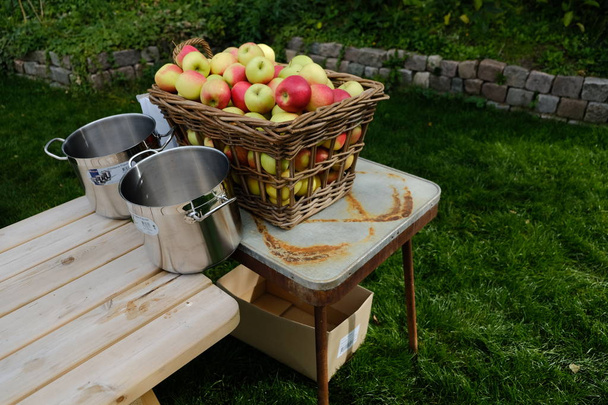 Manzanas sobre una mesa en el jardín en Amsterdam
 - Foto, imagen