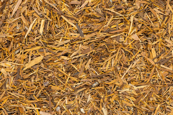 Φλοιός τσάι Κατουάμπα, μακροεντολή. Φυσικό βοτανικό τσάι από σκόνη φλοιός Catuaba δέντρο. Βραζιλίας αφροδισιακό που χρησιμοποιείται ως αντικαταθλιπτικό, αντιοξειδωτικό και νευρικό σύστημα διεγέρτης. - Φωτογραφία, εικόνα