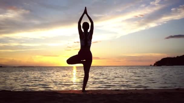 Vrouw beoefenen van de yoga van de boom vormen op een strand bij zonsondergang tijdens zomervakantie - Video