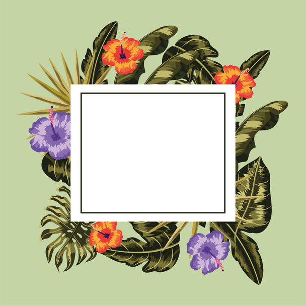 square frame with flowers plants decoration vector illustration - Vetor, Imagem