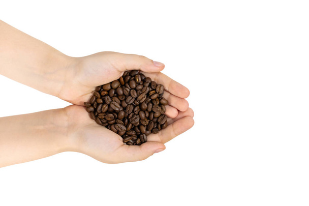 Granos de café tostados en manos femeninas, cerca, aislados. Deliciosos granos de café de arábica india cruda
. - Foto, imagen