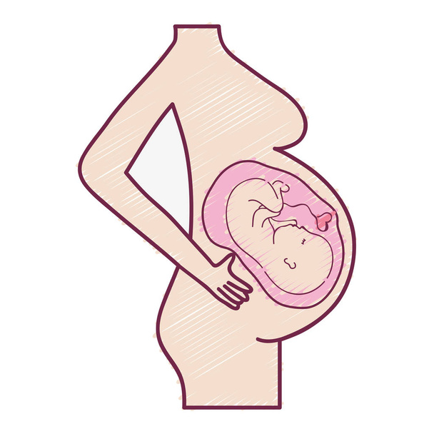 Mutterschaft mit Baby im Inneren und Darstellung des Nabelschnurvektors - Vektor, Bild