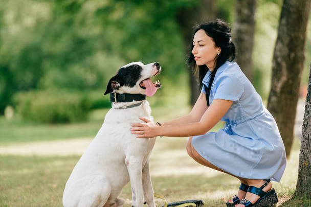 cheerful young woman in blue dress with big black and white dog in summer park - Foto, imagen