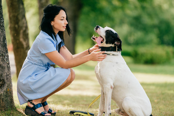 夏の公園の大きな黒と白の犬と青いドレスの陽気な若い女性 - 写真・画像