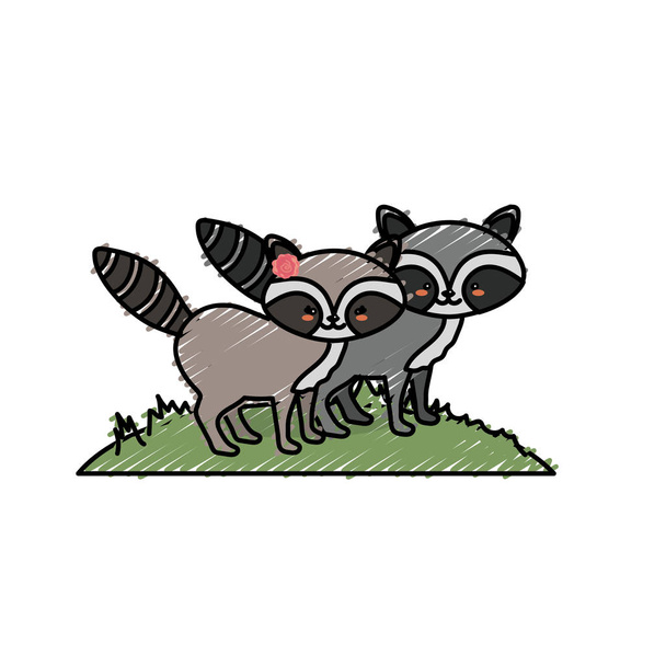 かわいいアライグマ動物カップル一緒にベクトル図 - ベクター画像