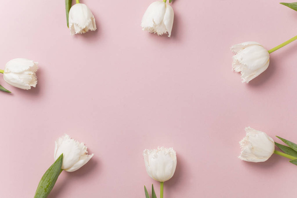 White tulip flowers on a pastel pink background - Foto, afbeelding