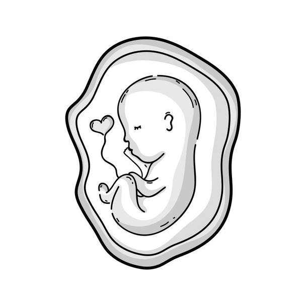 ラインの赤ちゃんの臍帯子宮ベクトル図の中で - ベクター画像