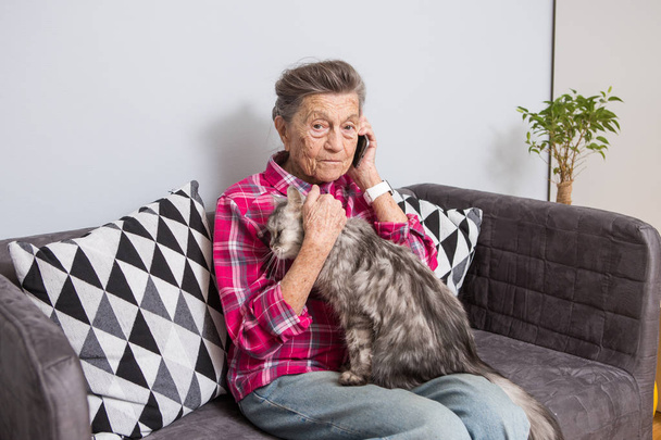 Theme old person uses technology. Mature contented joy smile active gray hair Caucasian wrinkles woman sitting home living room on sofa with fluffy cat using mobile phone, calling and talking phone. - Photo, Image