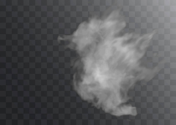 Effet spécial transparent se distingue par le brouillard ou la fumée. Vecteur de nuages blancs, brouillard ou smog. - Vecteur, image