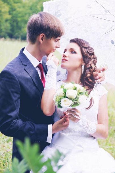 Gli sposi sotto un ombrello vicino all'acacia
 - Foto, immagini