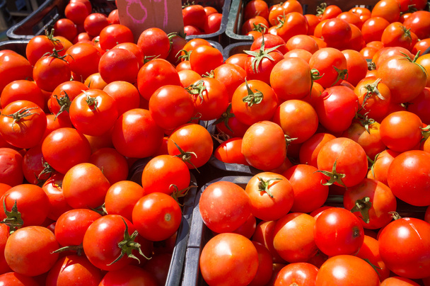 Ripe tomatoes - Zdjęcie, obraz