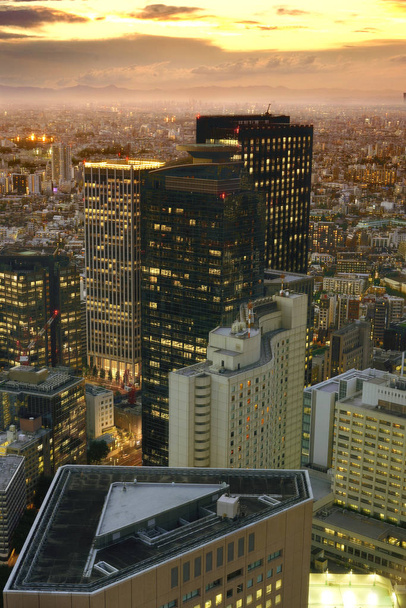 Vue panoramique en soirée sur la vue panoramique des bâtiments triangulaires et curvilignes du bâtiment Yadai DELi et du bâtiment Hilton Tokyo depuis le bâtiment du gouvernement métropolitain de Tokyo
. - Photo, image