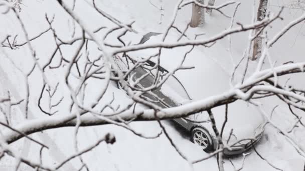 O carro coberto de neve está estacionado no parque da cidade em um dia de neve de inverno, visto de cima através de galhos de árvores
. - Filmagem, Vídeo