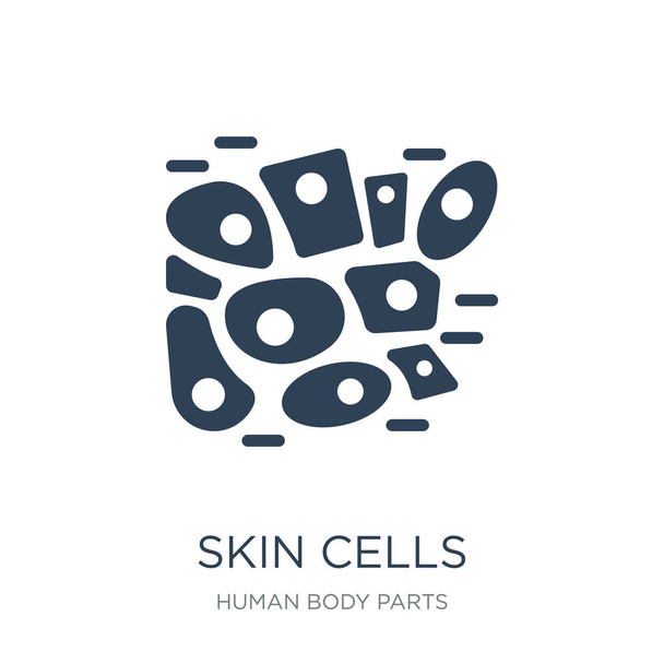 skin cells icon vector on white background, skin cells trendy filled icons from Human body parts collection - Vector, Image