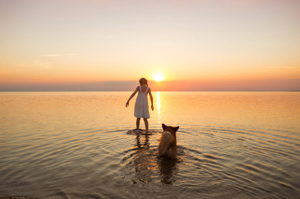 happy weekend by the sea - little girl is walking with a dog corgi by the sea at sunset. Ukrainian landscape at the Sea of Azov, Ukrain - Foto, immagini