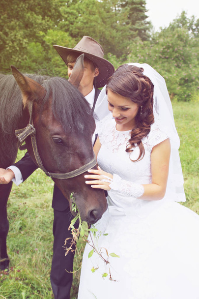 bride groom walking a horse in a field - Φωτογραφία, εικόνα