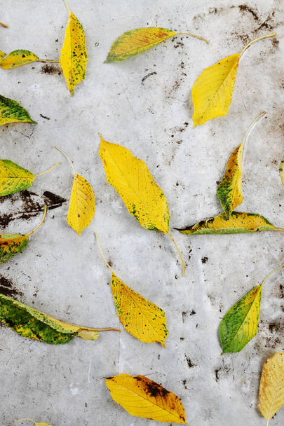 cherry leaves on a table, metallic background - Foto, Imagen