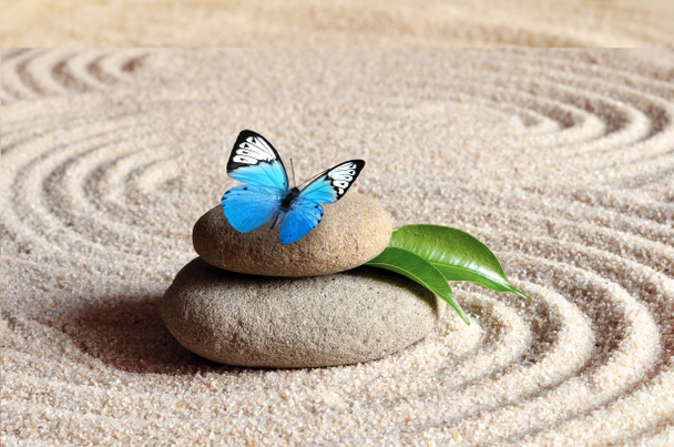 Голубая яркая бабочка на камне дзен с рисунками кругов в песке
 - Фото, изображение