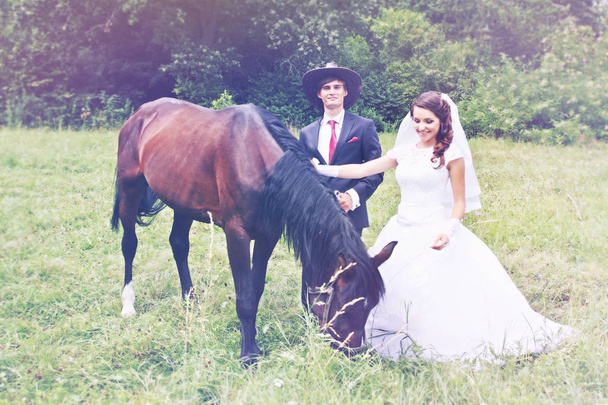 nevěsta ženich chůze koně v poli - Fotografie, Obrázek