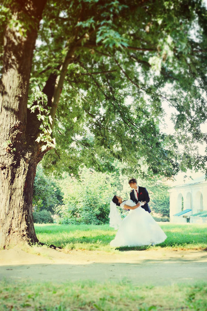 Bride and groom dancing under a big tree - Foto, Imagem