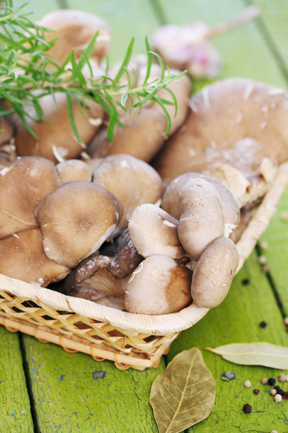 Funghi di ostrica in un cesto di vimini con rosmarino
 - Foto, immagini