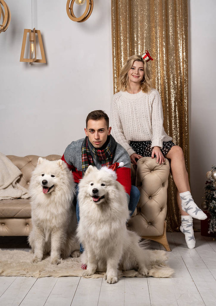 Young couple sitting on sofa and posing with two white dogs - Foto, imagen